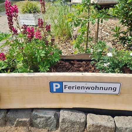 Hanstedt Ferienwohnung Im Winkel מראה חיצוני תמונה